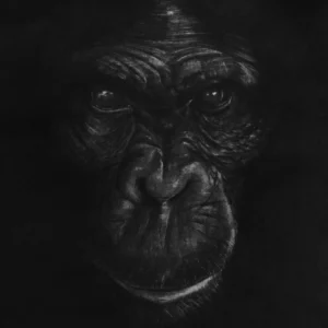 The Great Ape