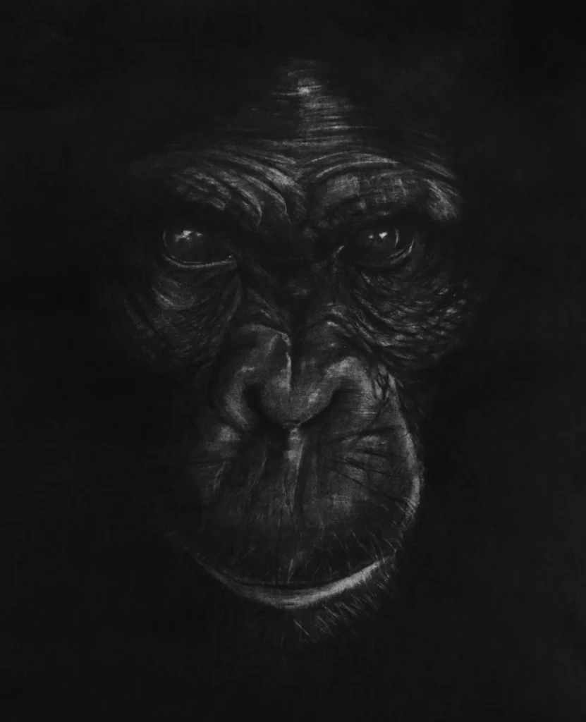 Wildlife art The Carbon Art climate charcoal artwork by artist Abhi