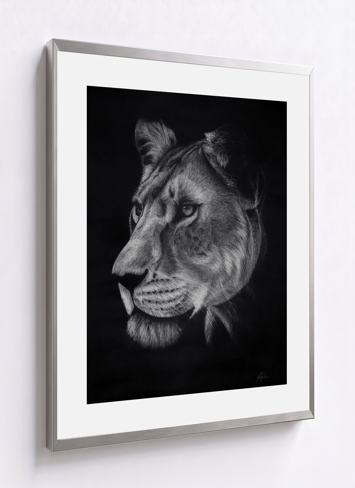 Lioness, angle representation with equal two-inch paper-matched mat borders; not to scale